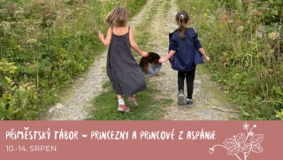 Příměstský tábor - Princezny a princové z Aspánie
